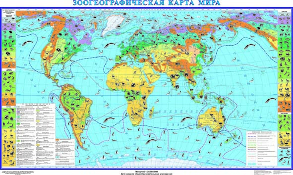 Зоогеографическая карта мира